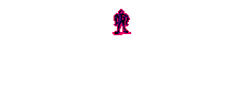 Ghost of Starman Badge